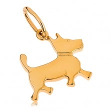 Medál 9K sárga aranyból - kicsi kutya gravírozott nyakörvvel