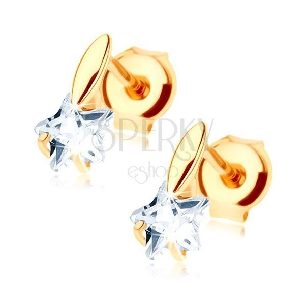 585 arany fülbevaló - kicsi kidomborodó magszem, átlátszó cirkóniás csillag