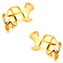 585 arany fülbevaló - fényes teknősbéka gravírozott részletekkel