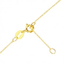 14K sárga arany nyaklánc - vékony lánc, csepp alakú medál